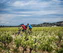 Fietsreis Provence
