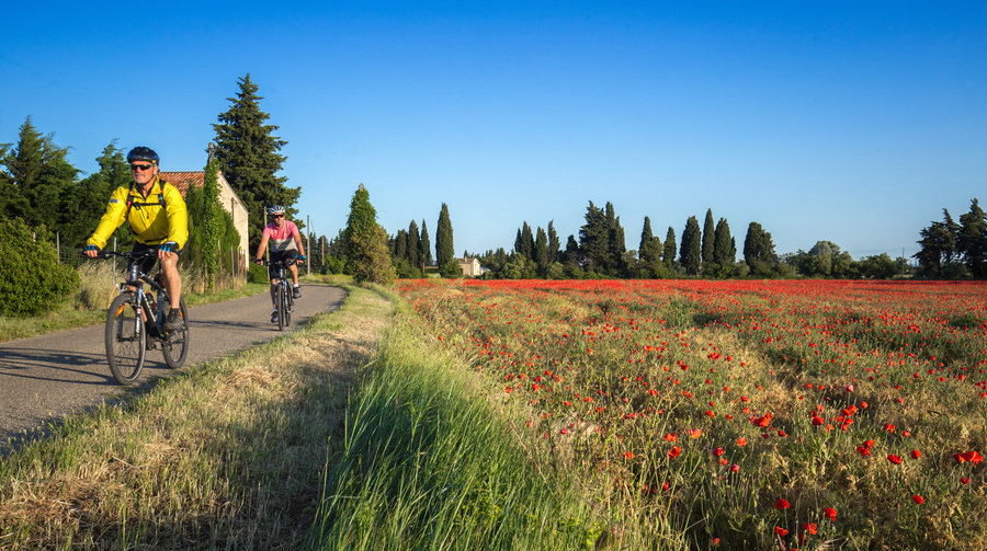 Fietsreis Provence