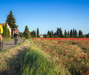 Fietsreis Provence