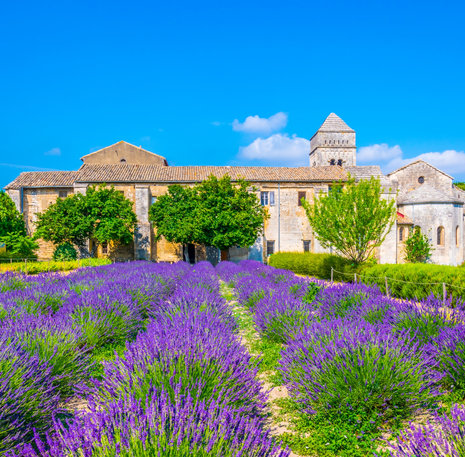 Fietsreis Provence