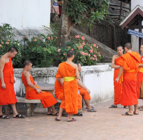 Groepsrondreis Indochina