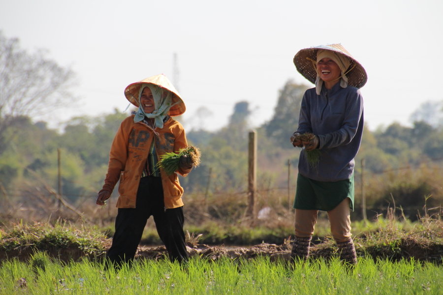 Groepsrondreis Indochina