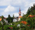Postojna