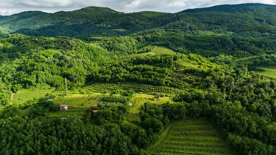 Vipava_valley