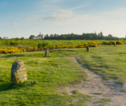 Culloden Battlefield