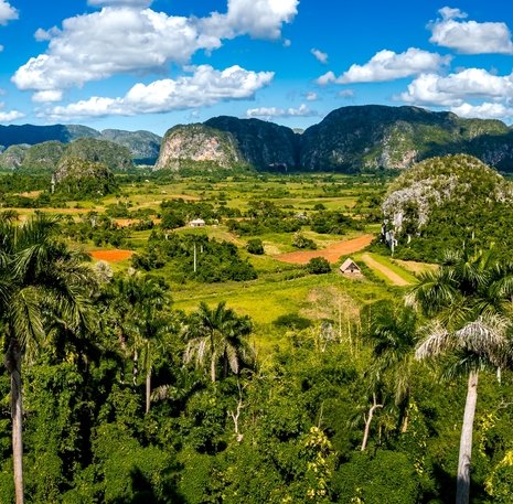 Viñales vallei