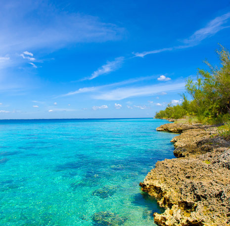 Bay of pigs