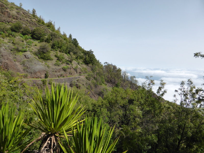 wandeling naar Mosteiros, Fogo, Kaapverd