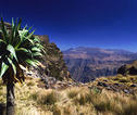 Natuur Ethiopië