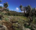 Natuur Ethiopië