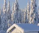 Rondreis Lapland