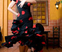 Flamenco