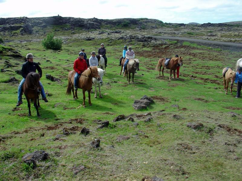Paardrijden Ijsland