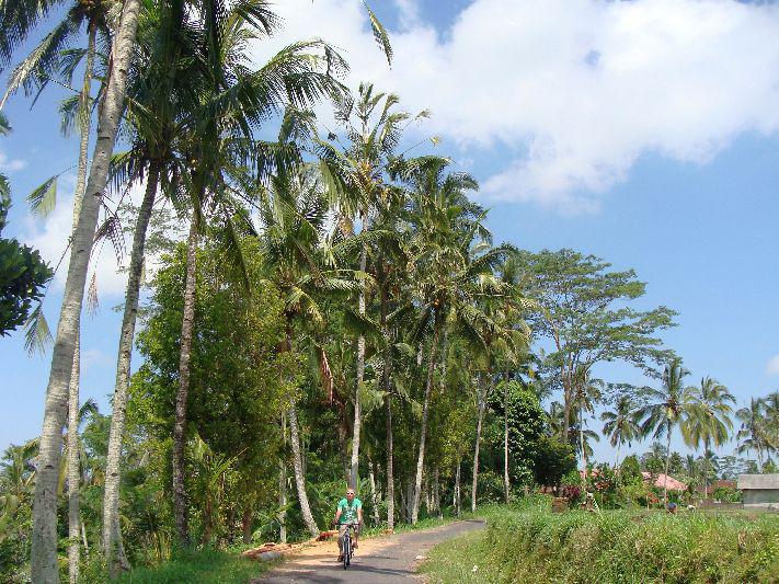 Fietstocht Ubud