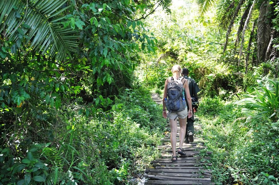 Wandeling Kibale Forest