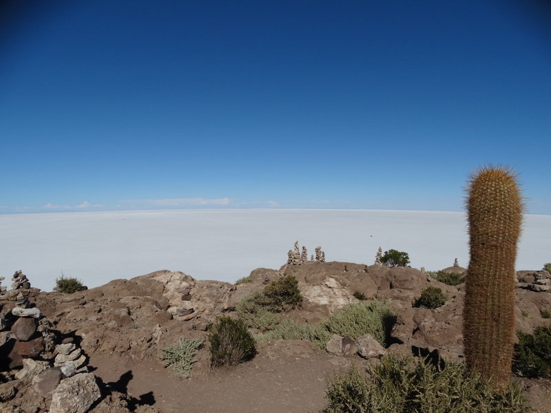 Bolivia, zoutvlaktes en cactussen