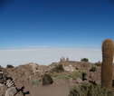 Bolivia, zoutvlaktes en cactussen