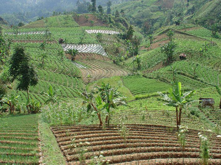 Tawangmangu Indonesië 