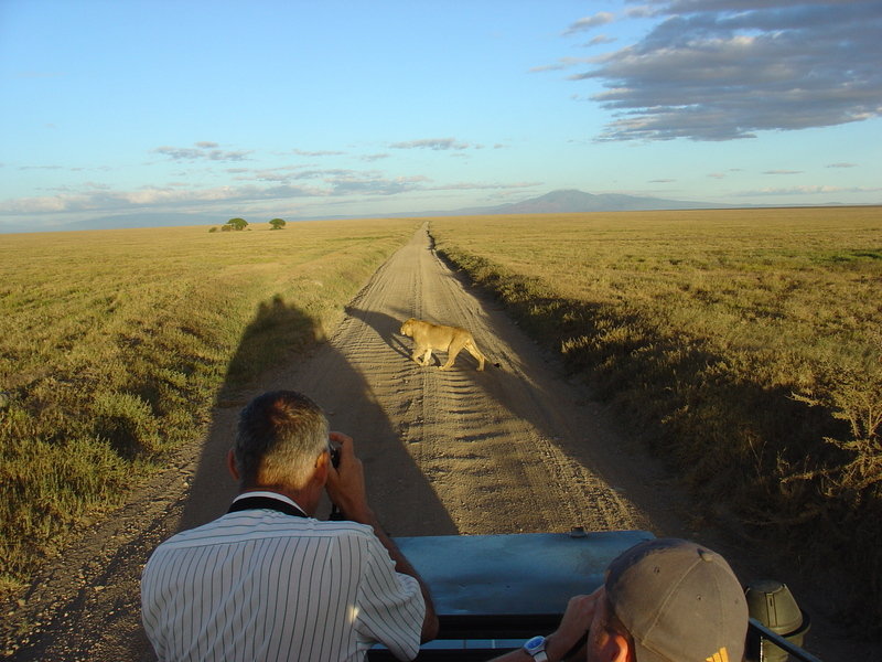 safari reizen afrika