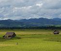 Groepsrondreis Laos & Cambodja