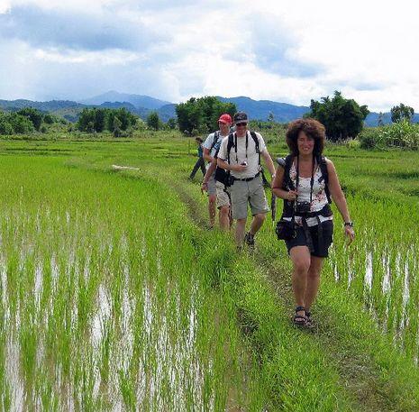 Wandeltocht door rijstvelden