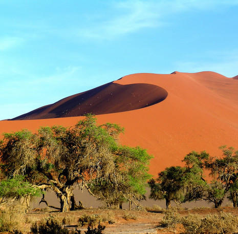 Rondreis Namibië Sossusvlei