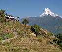 Rondreis Nepal machapuchare
