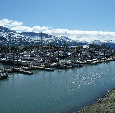 Wisselend landschap Alaska