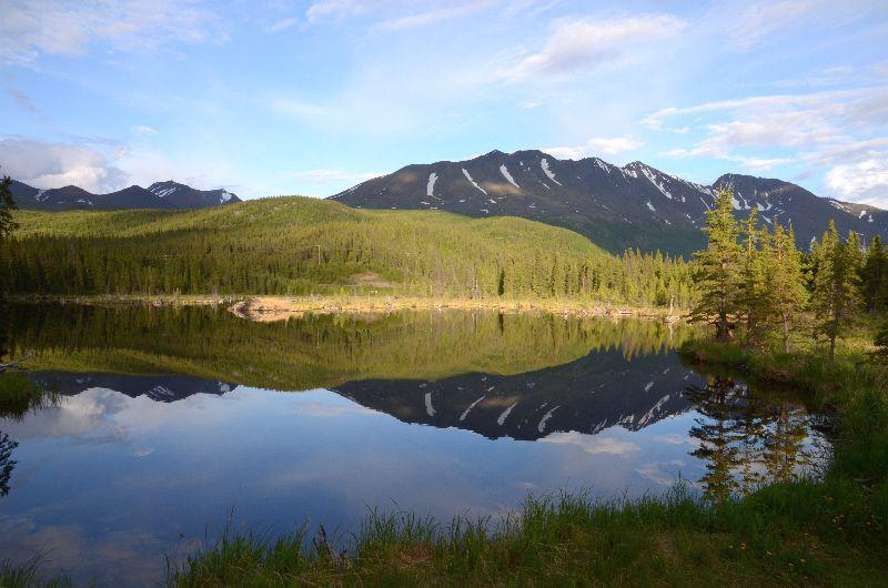 Groen landschap in Alaska