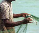 Lokale vissers Sri Lanka