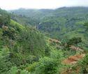 Sri Lanka natuur