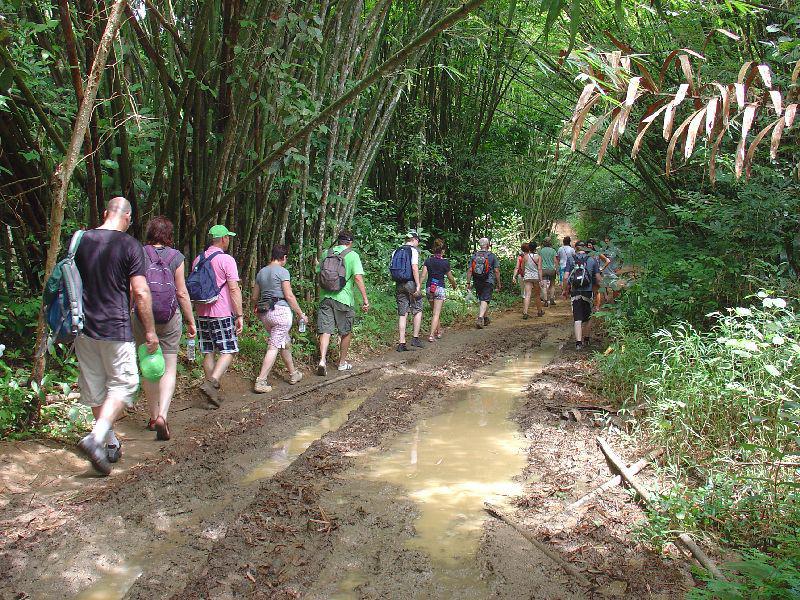 Wandelen in Khao Sok
