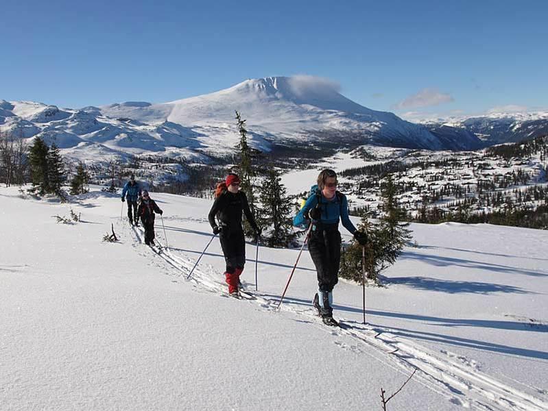 Cross Country Skiing Norway