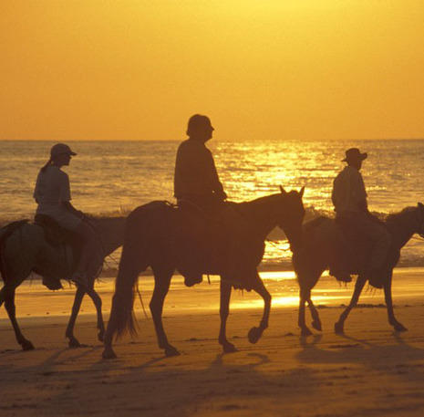 Costa Rica paardrijden