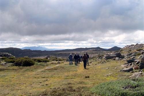 Wandelend door Tasmanië 