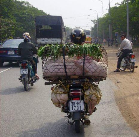 Vietnam Onderweg
