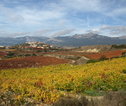 Fietsvakantie Spanje Rioja & Burgos 9