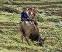 Kinderen in Sapa