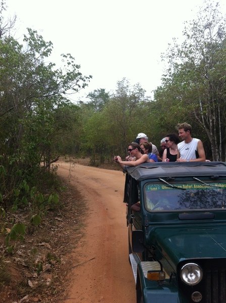 Jeepsafari Sri Lanka