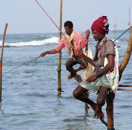 lokale vissers