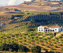 Thumb spanje landschap