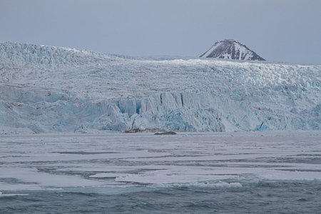 Rondreis Spitsbergen