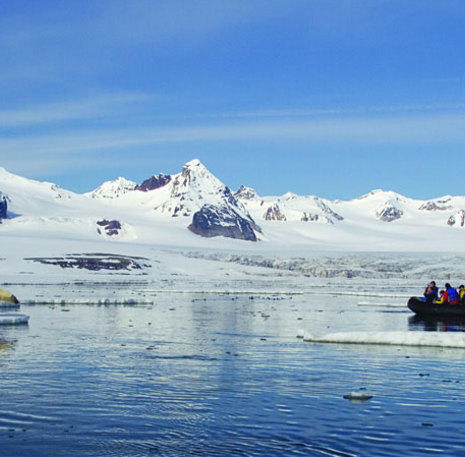 IJsbeer Spitsbergen