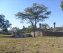Great Zimbabwe