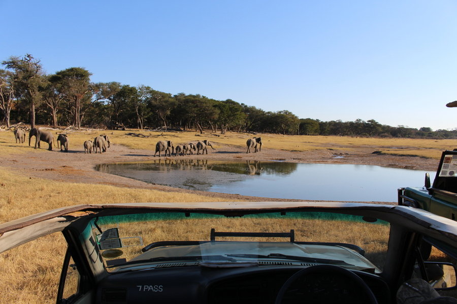 Hwange NP