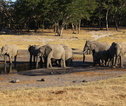 Hwange NP