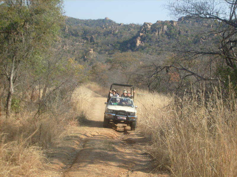 Gamedrive in Matobo NP