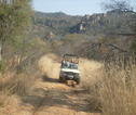 Gamedrive in Matobo NP
