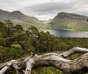 Thumb beinn eighe natuurreservaat