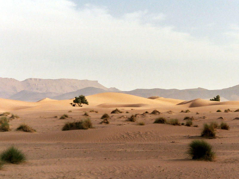 Erg Chebbi woestijn Marokko